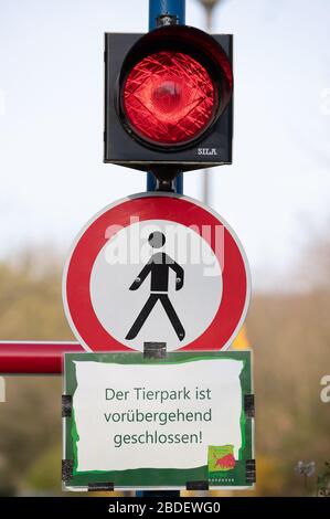 Nordhorn, Deutschland. April 2020. "Der Zoo ist vorübergehend geschlossen!" Sagt ein Schild aus dem Zoo. Darüber sagt eine Ampel "rot". Besucher sind daher nicht auf dem Gelände der ansonsten gut besuchten Attraktion zu finden. Wegen der Koronakrise sind die Zoos und Tierparks derzeit geschlossen. Credit: Friso Gentsch / dpa / Alamy Live News Stockfoto