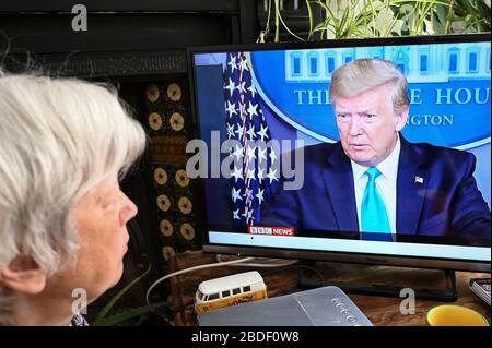 Frau, die BBC News mit Präsident Trump beobachtet und eine Pressekonferenz vom Weißen Haus gibt. Stockfoto