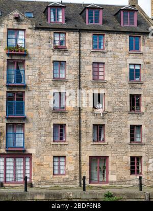 Leith, Edinburgh, Schottland, Großbritannien. April 2020. Covid-19 Lockdown: An einem der wärmsten Sonnentage in diesem Jahr mit Menschen in Lockdown. Ein Mann und sein Hund sitzen in einem offenen Fenster im 3. Stock des Cooperage-Lagers, das in Wohnungen am Ufer entlang des Leith-Wassers umgewandelt wurde, prekär Stockfoto