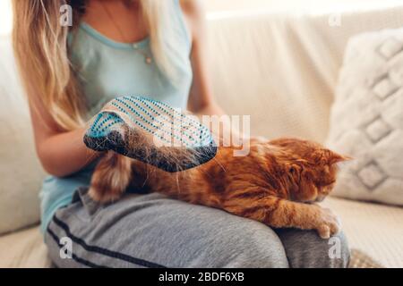 Putzende Katze mit Handschuh, um die Haare von Haustieren zu entfernen. Frau, die sich um die Tierkämmerei zu Hause mit Handgummihandschuh kümmert Stockfoto