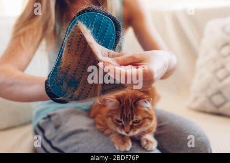 Putzende Katze mit Handschuh, um die Haare von Haustieren zu entfernen. Frau nimmt Tierfell von Handgummihandschuh, der zu Hause kämmt Stockfoto