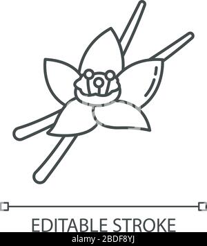 Das perfekte lineare Symbol für Vanille Pixel. Aromatische Blume und Schoten aus Vanilleorchid. Backzutat. Anpassbare Abbildung mit dünner Linie. Kontursymbol Stock Vektor