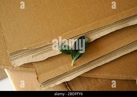 Bleche aus brauner Wellpappe und grünen Blättern. Gestapelte Kartonblätter und Pflanzen. Ökologie- und Recycling-Konzept. Stockfoto