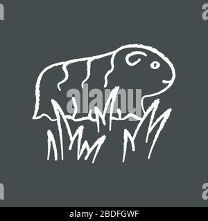 Guinea Pig Kreide weiße Ikone auf schwarzem Hintergrund. Rasige Nagetierchen im Gras. Haustier in der Tasche. Zauberhafte innenpolitische Kavie an frischer Luft. Süßes kleines cavia. Lokal Stock Vektor