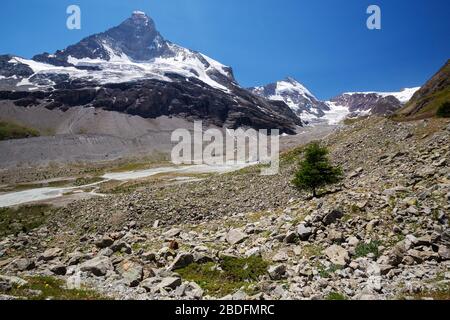 Alpenlandschaft im Zmutt-Gletschertalgletscher der Nordseite des Matterhorns (Cervino). Zermatt, Schweizer Alpen. Stockfoto