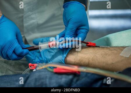 Pavia, Italien. April 2020. Pavia. Transfusion des Plasmas eines Patienten, der von COVID19 an einen Patienten mit einer experimentellen Behandlung mit Coronavirus unter der Leitung von Doktor Cesare Perotti im Krankenhaus Policlinico San Matteo in Pavia (Carlo Cozzoli/Fotogramma, Pavia - 2020-04-08) p.s. la Foto e' utilizzabile nel rispetto del contesto in cui' statata, statata, E senza intento diffamatorio del decoro delle perso rappresentate Credit: Independent Photo Agency Srl/Alamy Live News Stockfoto