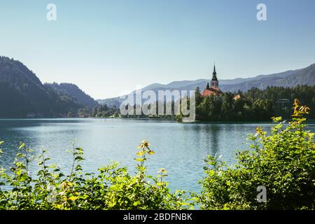 Der See von Bled, Wallfahrtskirche Mariä Himmelfahrt der Maria in Slowenien Stockfoto