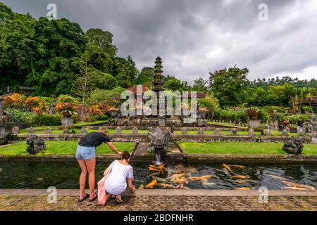 Horizontaler Blick auf die Touristen, die den Fisch im Wasserpalast von Tireta Gangga auf Bali, Indonesien, füttern. Stockfoto