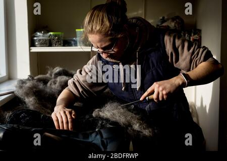 In der Werkstatt stehender Sattler mit Pferdehaar. Stockfoto