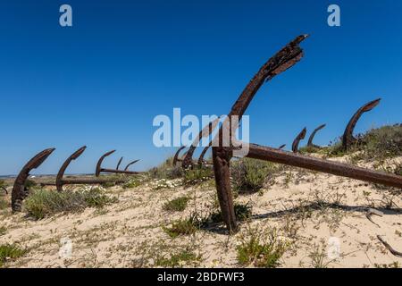 Ilha de Tavira mit Ankerkemetary am Strand Praia do Barril, mit vielen rostenden Ankern im Sand. Eatern Algarve, Portugal Stockfoto