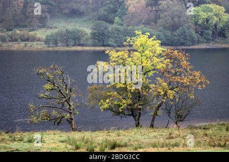 Herbstlandschaft um Balquhidder und loch Voil Trossachs stirling Stockfoto