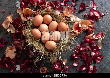 Rohe Eier im Heu, bereit, mit Zwiebelschälern gefärbt zu werden Stockfoto