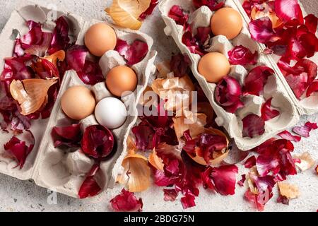 Rohe Eier, bereit, mit Zwiebelschälern gefärbt zu werden Stockfoto