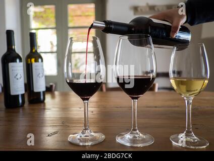 Verkostung der Weine aus dem Weingut São Lourenço do Barrocal, in der Nähe von Monsaraz, in der Region Alentejo in Portugal Stockfoto