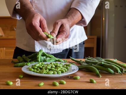 Chefkoch José Júlio Vintém schält auf dem portugiesischen Anwesen São Lourenço do Barrocal selbst angebaute Bohnen Stockfoto