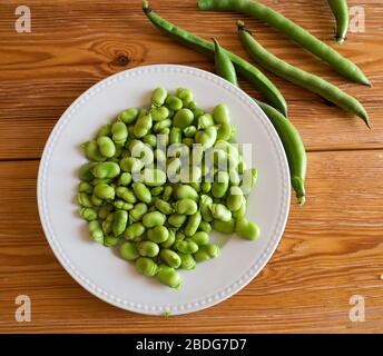 Bohnen aus den Küchengärten von São Lourenço do Barrocal, in der Nähe von Monsaraz, in der Region Alentejo in Portugal Stockfoto