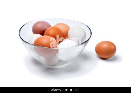 Eier verschiedener Farbtöne von Weiß bis Braun in einer Glasschale und ein weiteres in der Nähe, isoliert auf weißem Hintergrund mit Schatten Stockfoto