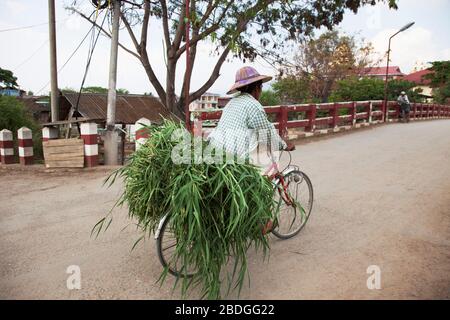 Der Alltag im Dorf Nyaungshwe, Inle Lake, Bundesstaat Shan, Myanmar, Asien Stockfoto