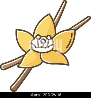 Vanillegelb RGB-Farbsymbol. Aromatische Blume und Schoten aus Vanilleorchid. Aroma- und Geschmacksmischung für Lebensmittel und Getränke. Kosmetische Anlage. Süß Stock Vektor