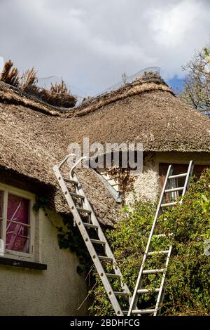 Fotos Auf Dem Strohdach, Fotos Auf Dem Dach, Fotos Reparieren, Fotos Auf Dem Bauernhof, Fotos Aus Der Baubranche, Arbeitsfotos, Fotos, Reed, Stockfoto