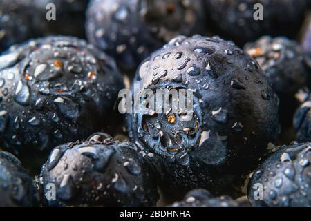 Makrofotografie reifer saftiger Blaubeeren mit Wassertröpfchen. Obst und Beeren, vegetarisch und gesund essen. Super Essen. Bereit zum Essen. Nahaufnahme Stockfoto