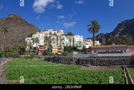 La Calera im Valle Gran Rey auf der Insel La Gomera Stockfoto