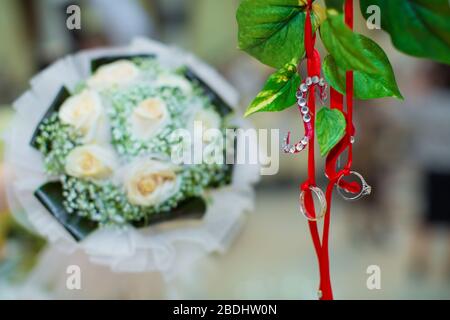 Die Ringe hingen von einem roten Band. Zwei Hochzeitsringe hingen an einem Baumzweig . Stockfoto