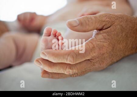 Doktor, der die Füße eines Babymädchens untersucht. Stockfoto