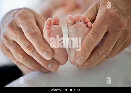 Doktor, der die Füße eines Babymädchens untersucht. Stockfoto