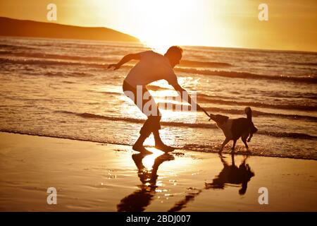 Reifer Mann, der bei Sonnenuntergang mit seinem Hund auf einem abgelegenen Strand Tauziehen spielt. Stockfoto