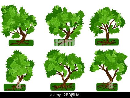 Satz von Vektorbäumen, isoliert auf weißem Hintergrund Stock Vektor