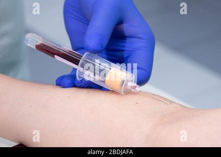 Krankenschwester, die ein Blut von einem Patienten sammelt Stockfoto