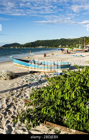 Cachoeira do Bom Jesus Strand. Florianopolis, Santa Catarina, Brasilien. Stockfoto