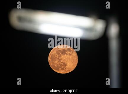 Frankfurt, Deutschland. April 2020. 08. April 2020, Hessen, Frankfurt am Main: Als rötlicher Ball ist der Mond am Abend unter einer Straßenlampe zu sehen. Credit: Dpa Picture Alliance / Alamy Live News Stockfoto