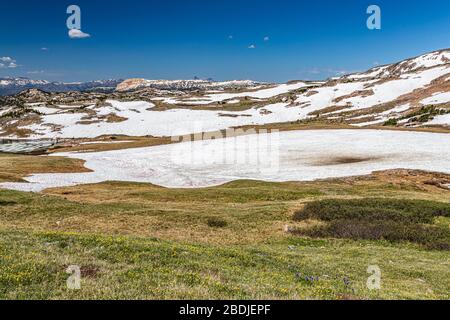 Der Beartooth Highway ist ein Abschnitt der U.S. Route 212 in Montana und Wyoming zwischen Red Lodge und Yellowstone National Park, der für seine atemberaubende Tour bekannt ist Stockfoto