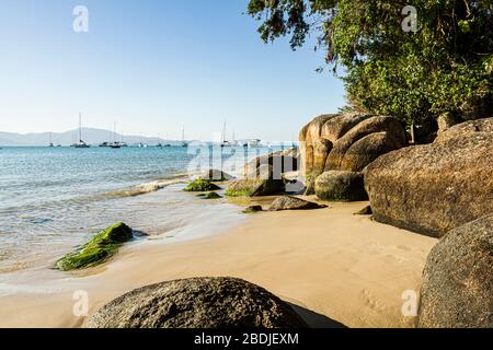 Felsufer am Jurere Beach. Florianopolis, Santa Catarina, Brasilien. Stockfoto