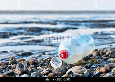 Plastikflasche mit rotem Flaschenverschluss an einem steinigen Strand mit Muscheln bei Ebbe. Konzept der plastischen Verschmutzung des Meeres und der Meeresbewohner. Stockfoto