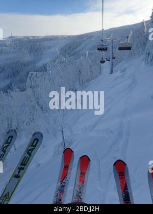 Skifahren in Szczyrk Stockfoto