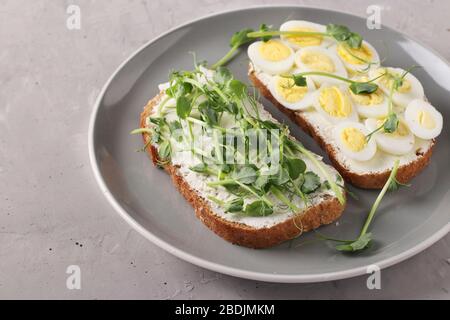 Zwei Sandwiches auf Toast mit Erbsen in Mikrogrün und Wachteleiern auf grauer Platte auf grauem Betonhintergrund Stockfoto