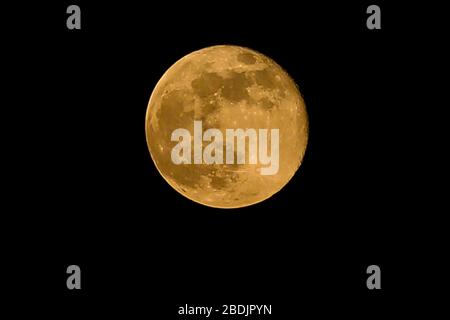 London, Großbritannien. April 2020. Der satte rosafarbene Supermond steigt über London.der Supermond von heute Abend wird der hellste Vollmond von 2020 sein. Kredit: Dinendra Haria/SOPA images/ZUMA Wire/Alamy Live News Stockfoto