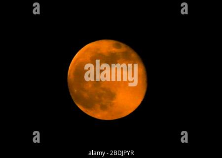 London, Großbritannien. April 2020. Der satte rosafarbene Supermond steigt über London.der Supermond von heute Abend wird der hellste Vollmond von 2020 sein. Kredit: Dinendra Haria/SOPA images/ZUMA Wire/Alamy Live News Stockfoto