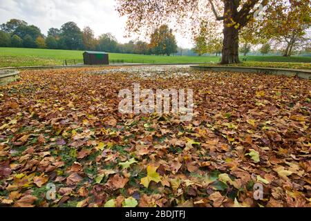 Herbstblätter wurden in london Park Land, England, Großbritannien, auf den Boden gelegt Stockfoto