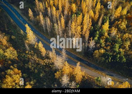 Von oben aus hat man einen Blick auf die Asphaltstraße, die inmitten majestätischer Herbstbäume an sonnigen Tagen in ruhiger Landschaft in Island verläuft Stockfoto