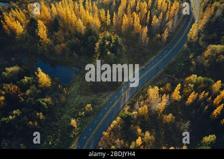 Von oben Blick auf die Asphaltstraße, die durch den atemberaubenden Herbstwald mit kleinem Teich an einem ruhigen sonnigen Tag in Island führt Stockfoto