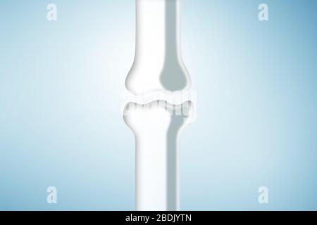 Die schematische Darstellung des menschlichen Knochengelenks Stockfoto
