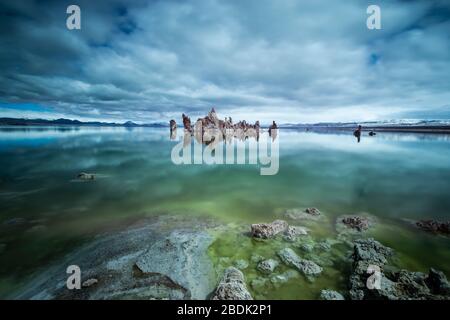 Ein algenreicher, grün glühender Mono Lake in Nordkalifornien Stockfoto