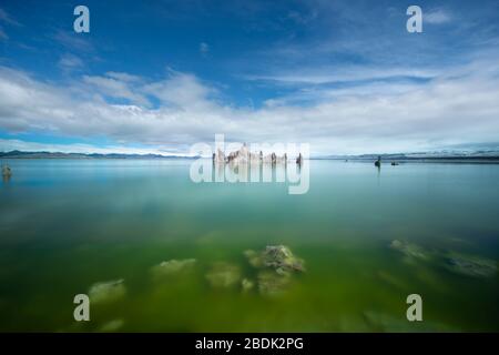 Ein algenreicher, grün glühender Mono Lake in Nordkalifornien Stockfoto