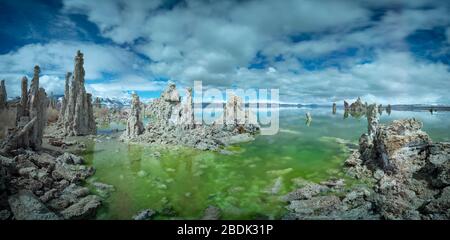 Ein algenreicher, grün glühender Mono Lake in Nordkalifornien Stockfoto