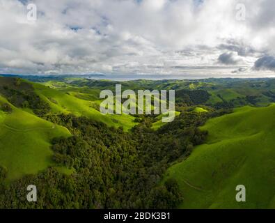 Green Rolling Hills idyllische Szene in Kalifornien nach Heavy Spri Stockfoto