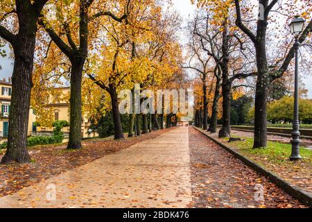 Der malerische Wachpfad an den Stadtmauern von Lucca während der Herbstsaison, Toskana, Italien Stockfoto